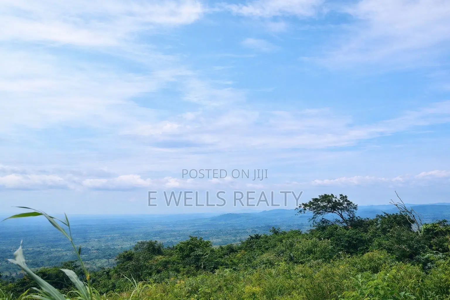 Farm Lands in Apirede for Sale/Rent