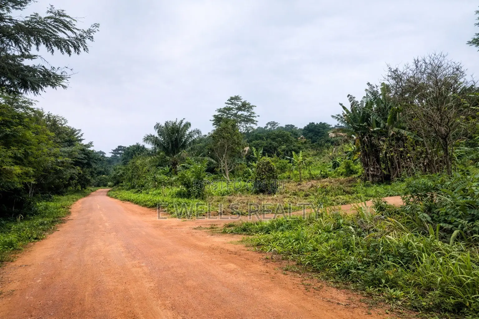 Farm Lands in Apirede for Sale/Rent
