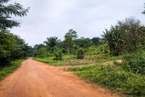 Farm Lands in Apirede for Sale/Rent