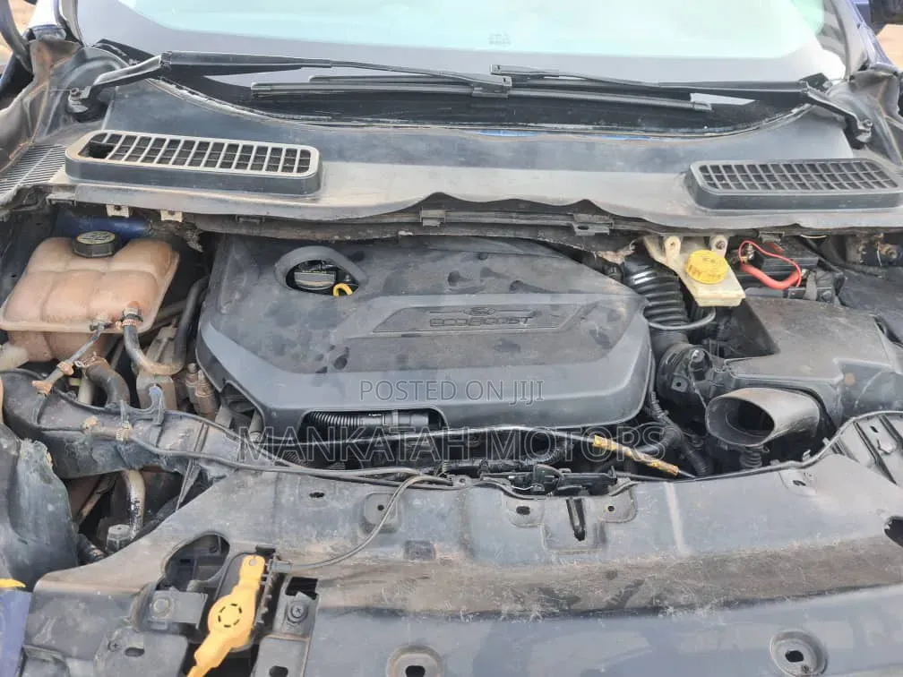 Ford Escape 2013 Blue