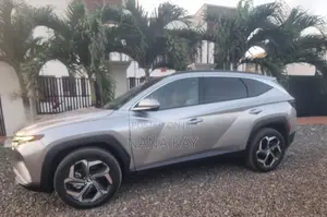Hyundai Tucson Limited 2024 Silver
