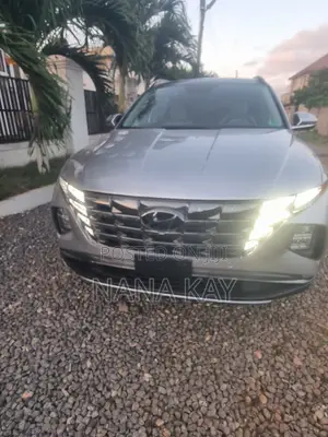 Hyundai Tucson Limited 2024 Silver