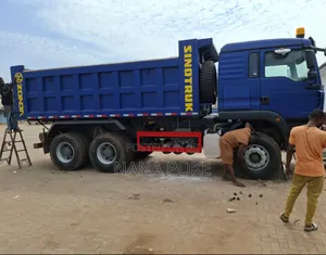 Sinotruk Howo 2025 Blue
