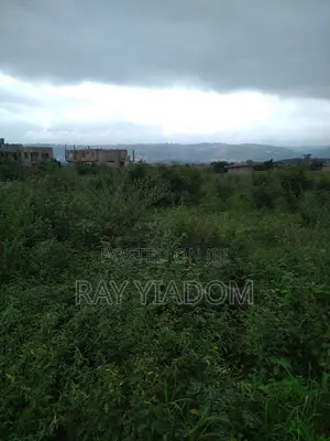 Title Land at Gomoa Fetteh Just 3 Minutes Drive From the Sea