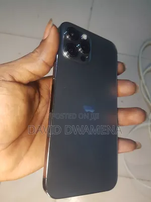 Apple iPhone 12 Pro Max 256 GB Gray