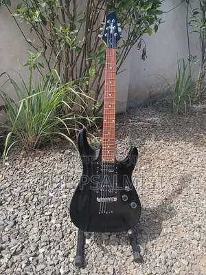 Black Hawk Bc- 1 Schecter Electric Guitar