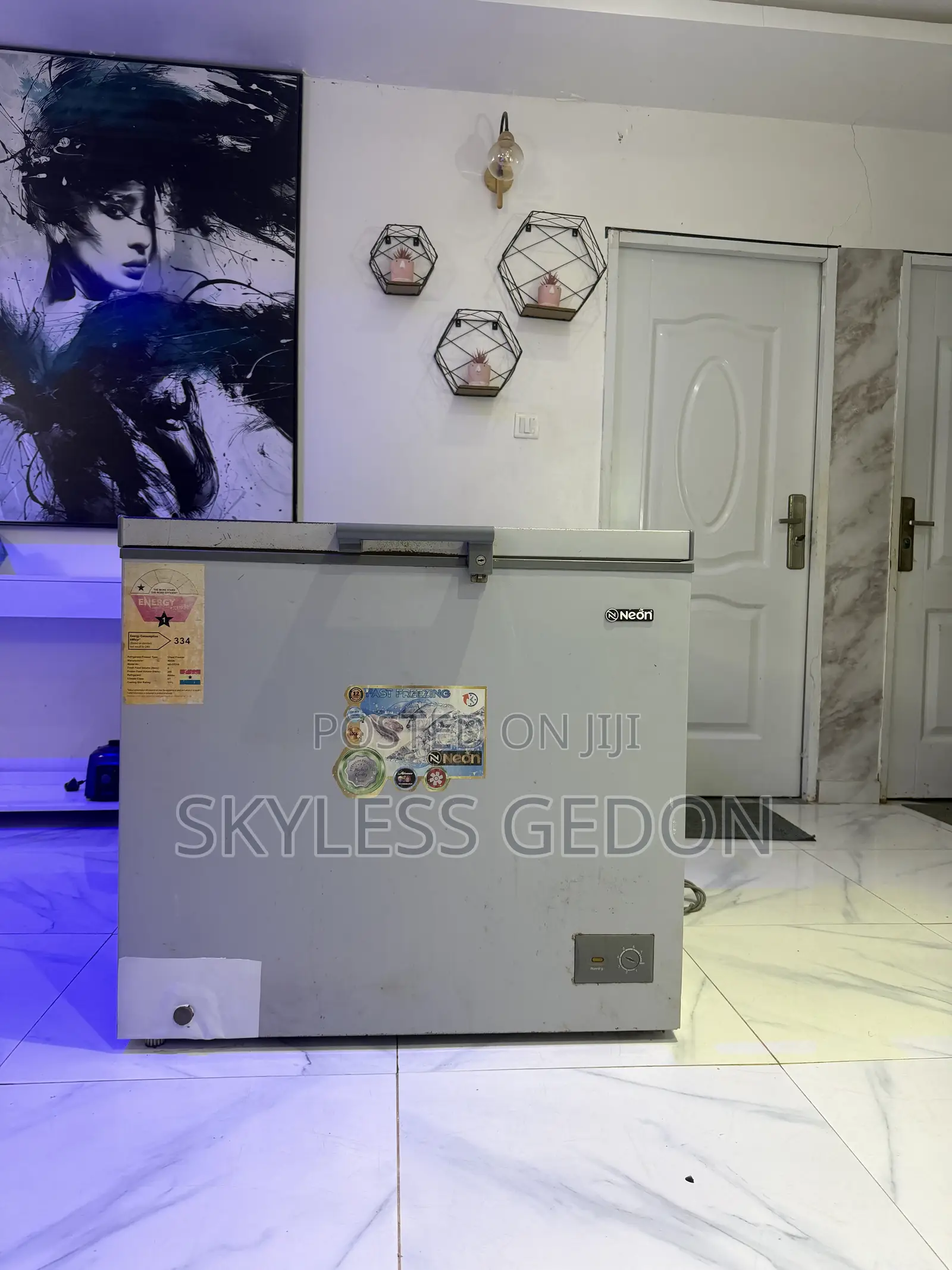 Neon Deep Freezer 200L Is in Good Condition Available as Seen