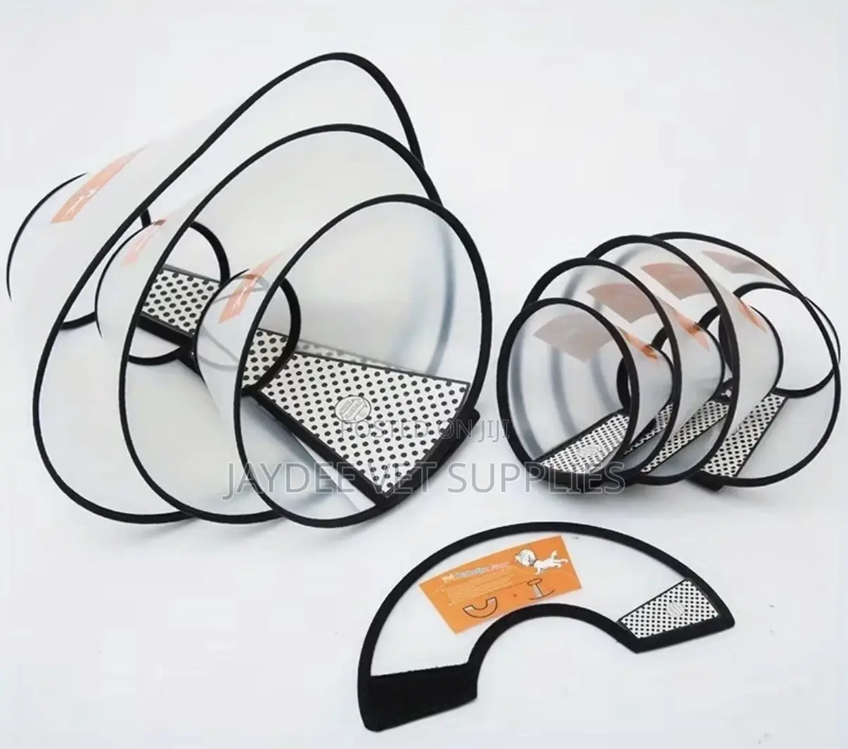 Elizabethan Collar/Cone