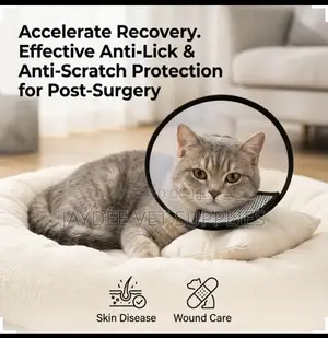 Elizabethan Collar/Cone