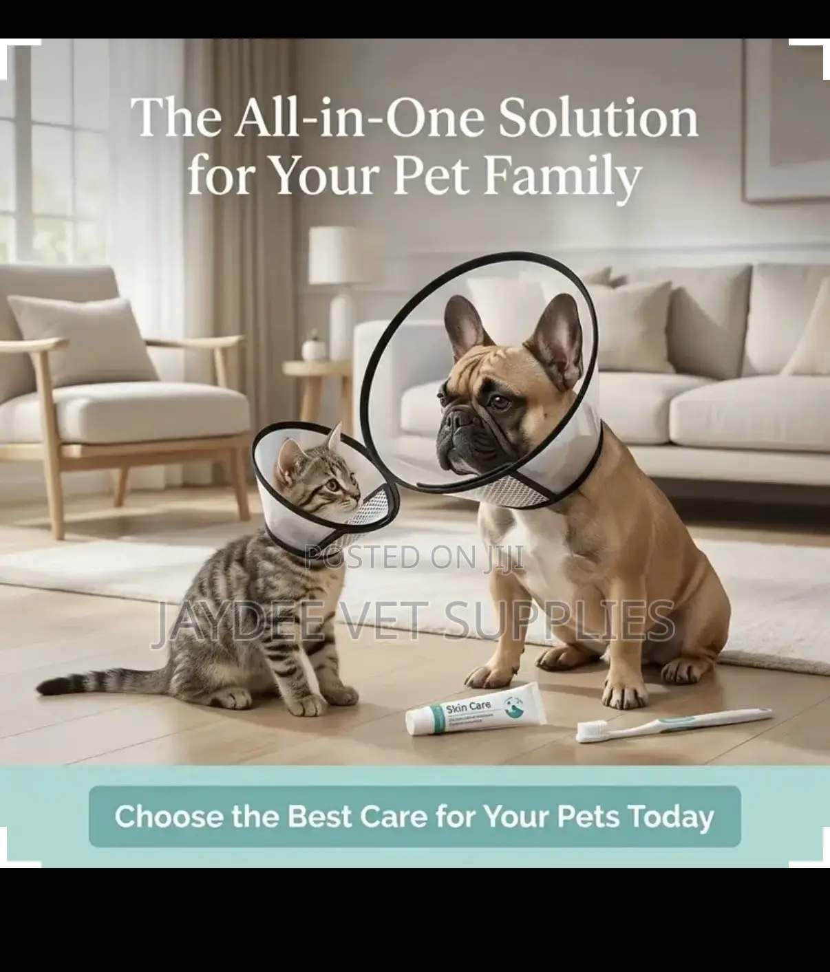Elizabethan Collar/Cone