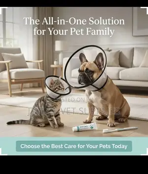 Elizabethan Collar/Cone