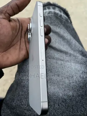 Apple iPhone 15 Pro Max 256 GB Silver