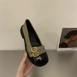 Elegant Flat Shoe