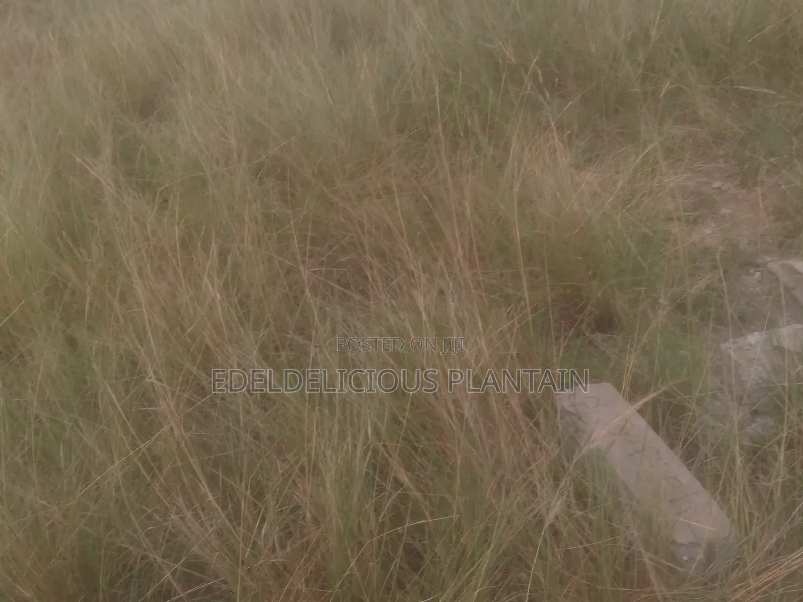 Land at Ayikuma for Sale 100ft by 70ft