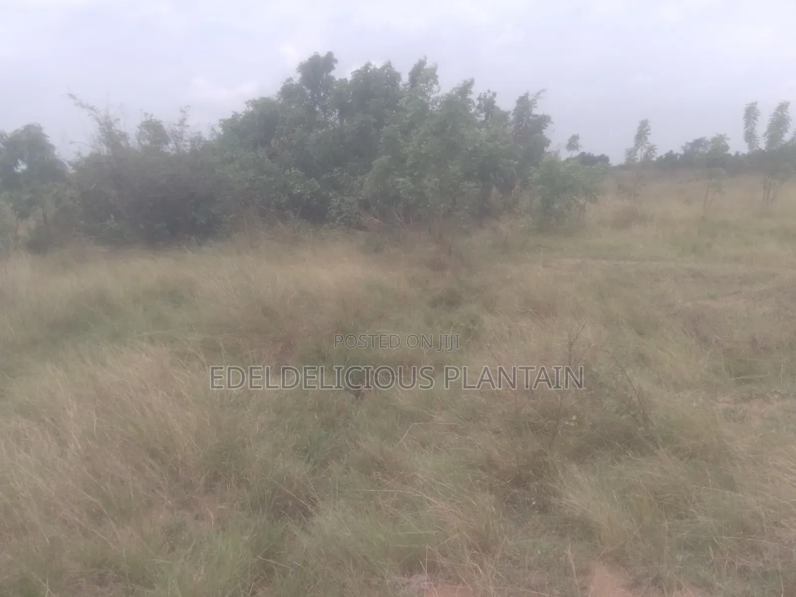 Land at Ayikuma for Sale 100ft by 70ft