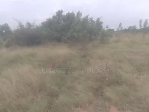 Land at Ayikuma for Sale 100ft by 70ft