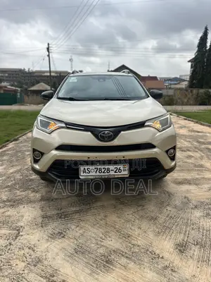 Car Rentals / Hiring
