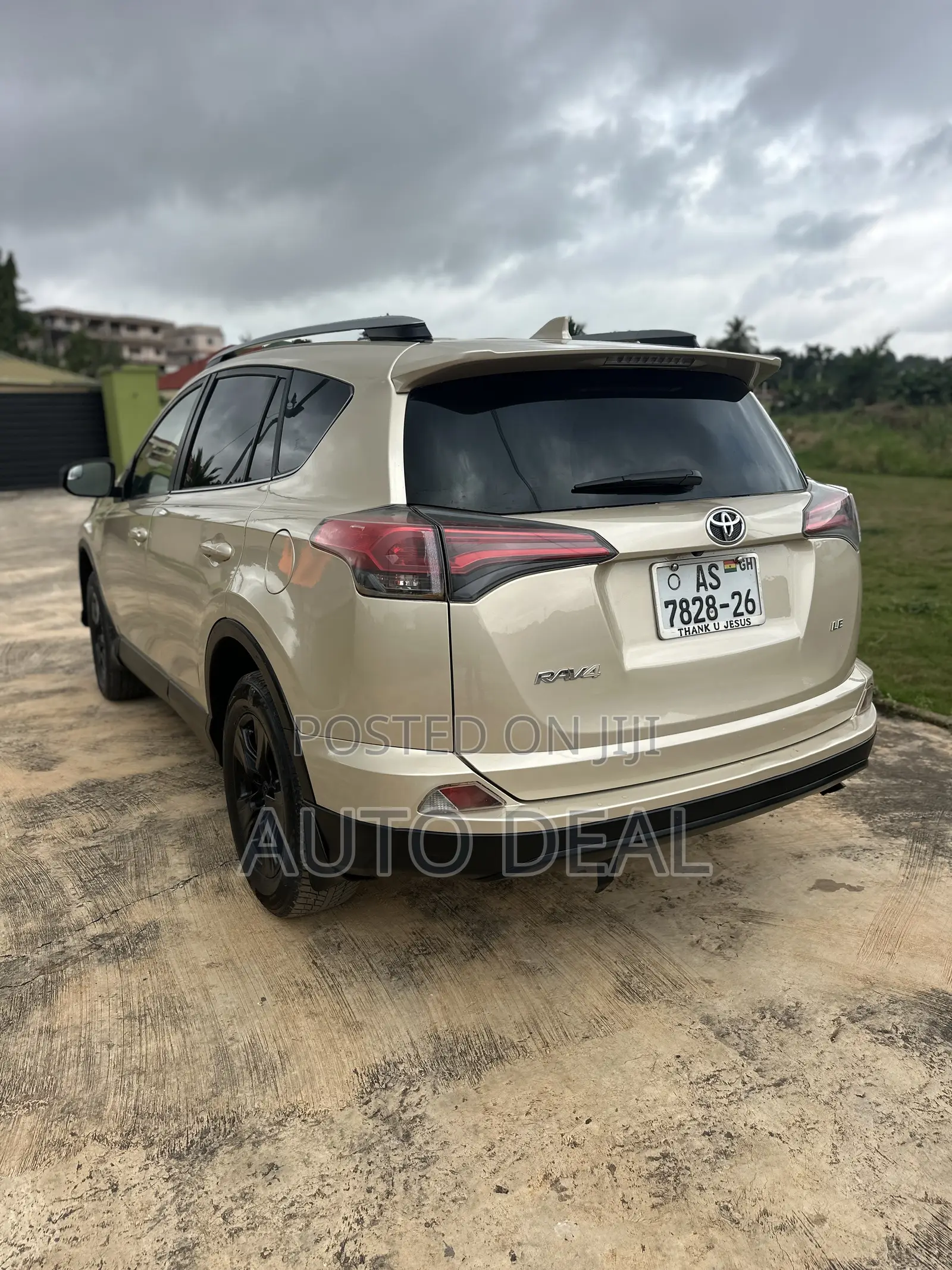 Car Rentals / Hiring