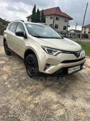 Car Rentals / Hiring