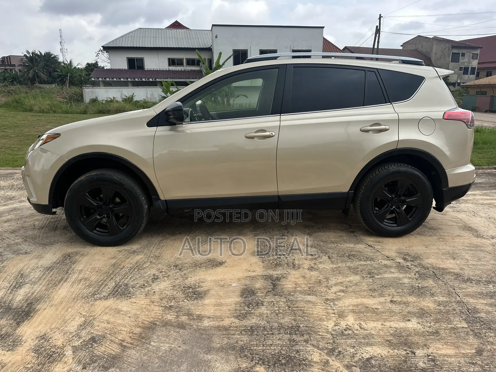 Car Rentals / Hiring