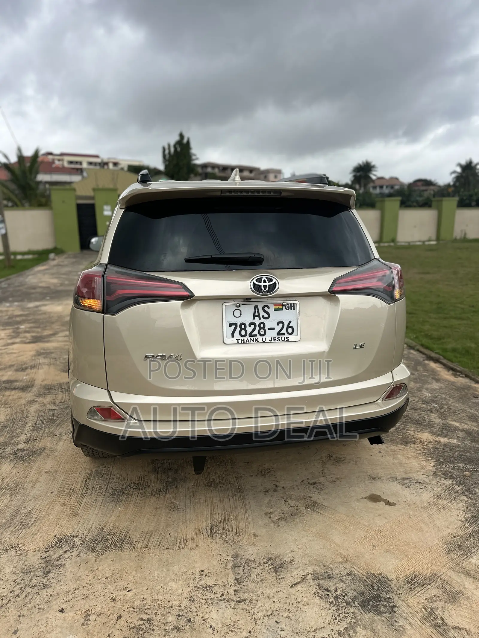 Car Rentals / Hiring