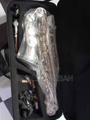 Silver Alto Saxophone