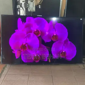 Sony Bravia 60 Inches Smart