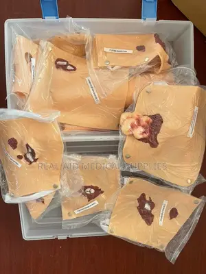 Delivery Dummy