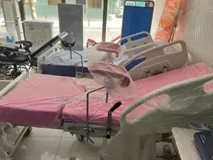 Electronic Delivery Bed