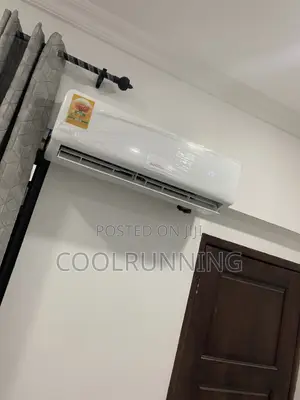Professional Air Condition Technician