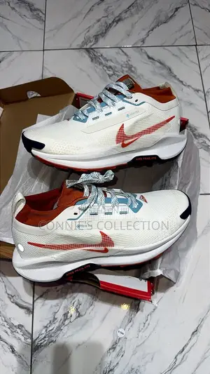 Nike Pegasus Trail 5 GORE-TEX