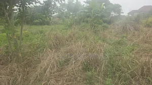 Land at Tanoso Dominase for Sale
