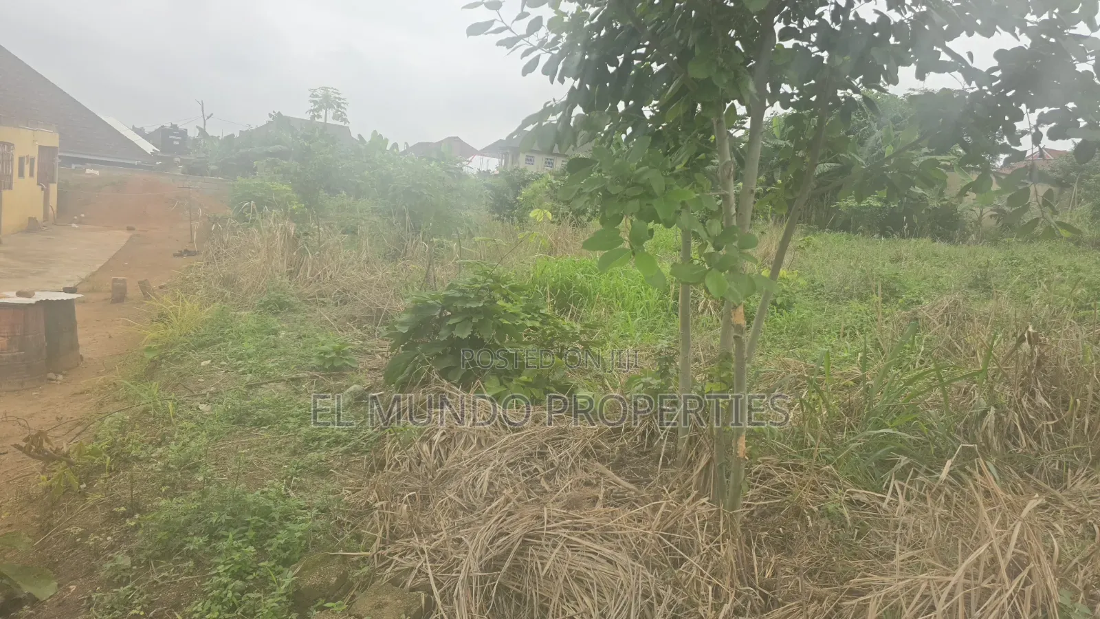 Land at Tanoso Dominase for Sale