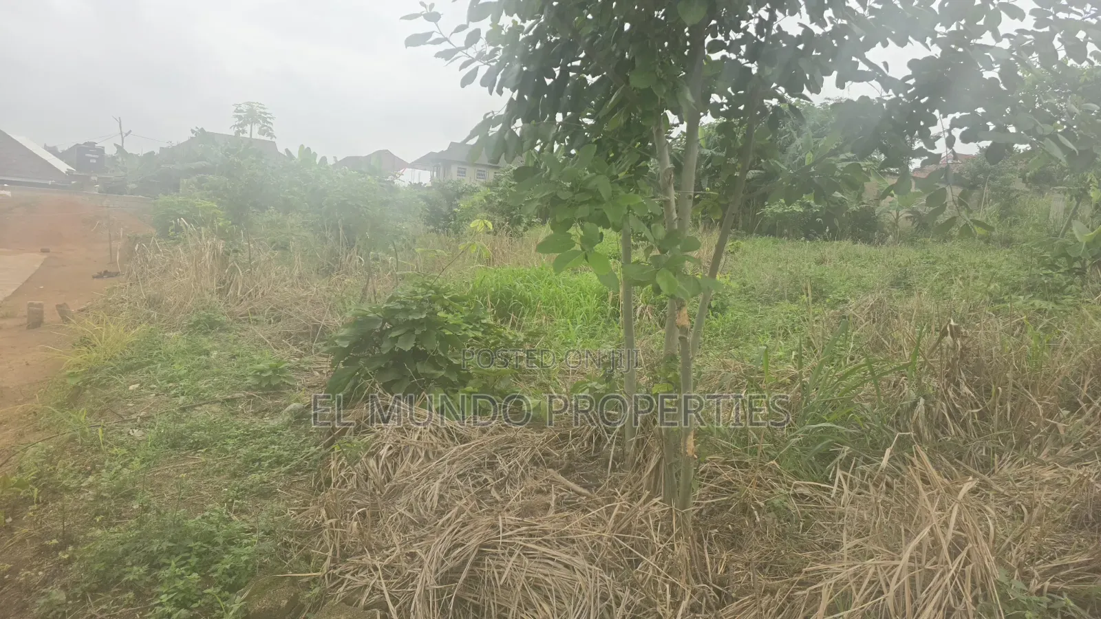 Land at Tanoso Dominase for Sale