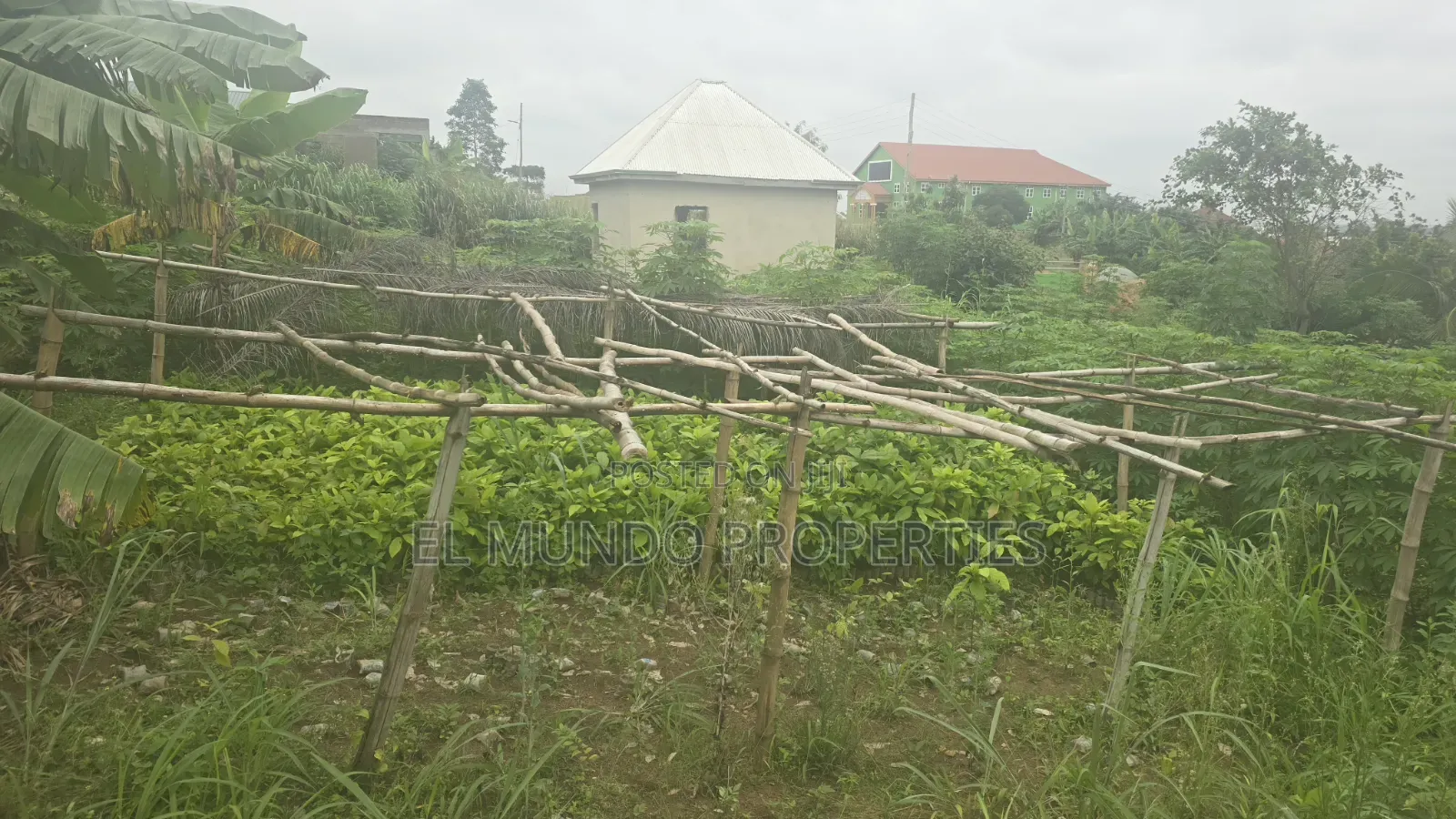 Land at Tanoso Dominase for Sale