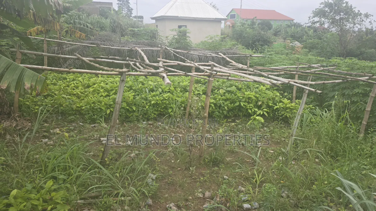 Land at Tanoso Dominase for Sale