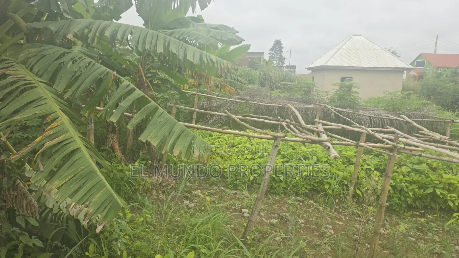 Land at Tanoso Dominase for Sale