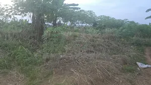 110*100 Land at Tanoso Dominase for Sale
