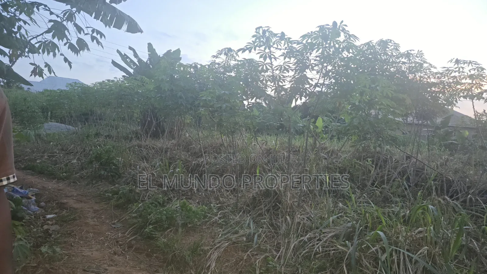 110*100 Land at Tanoso Dominase for Sale
