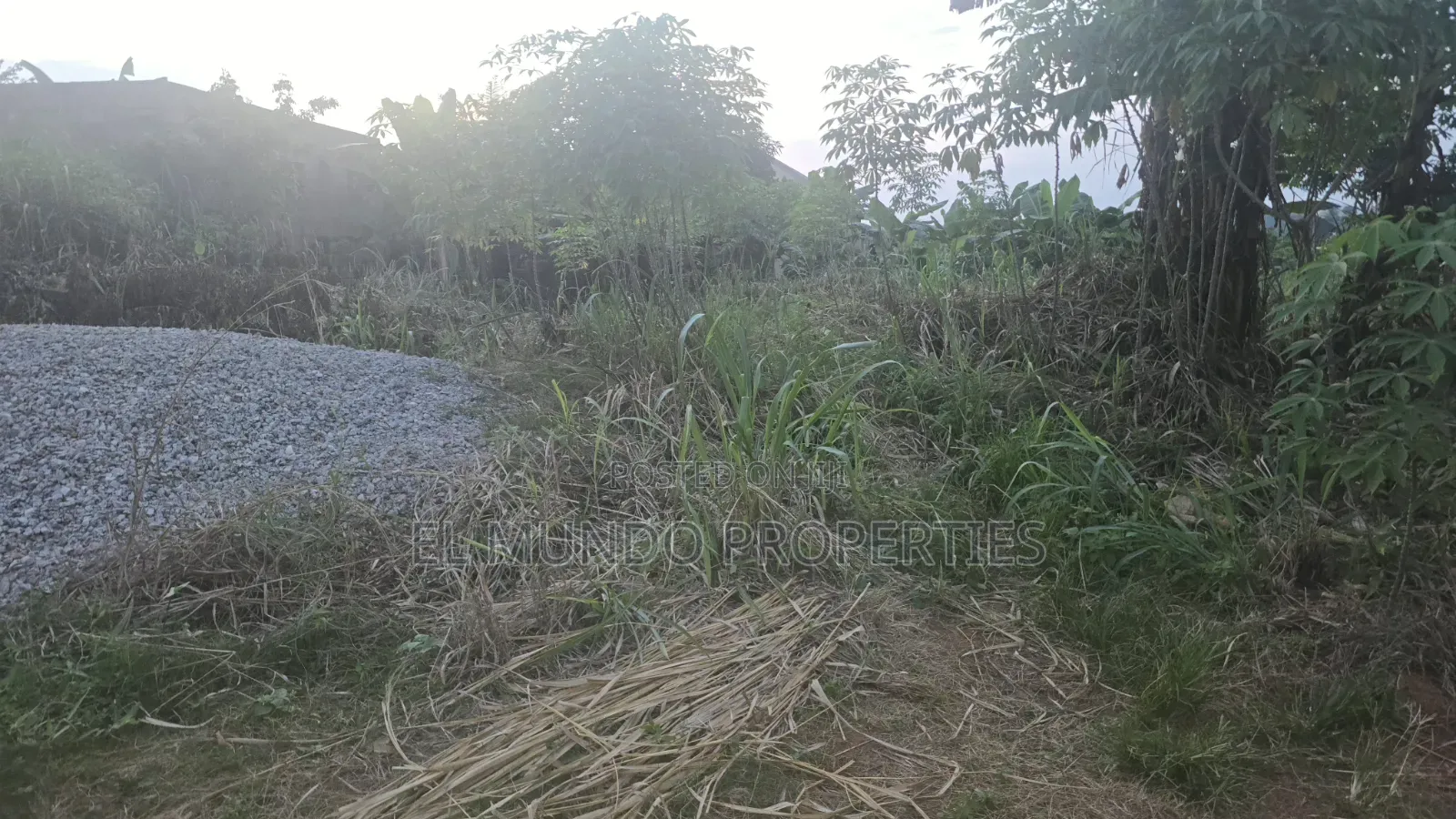 110*100 Land at Tanoso Dominase for Sale
