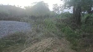 110*100 Land at Tanoso Dominase for Sale