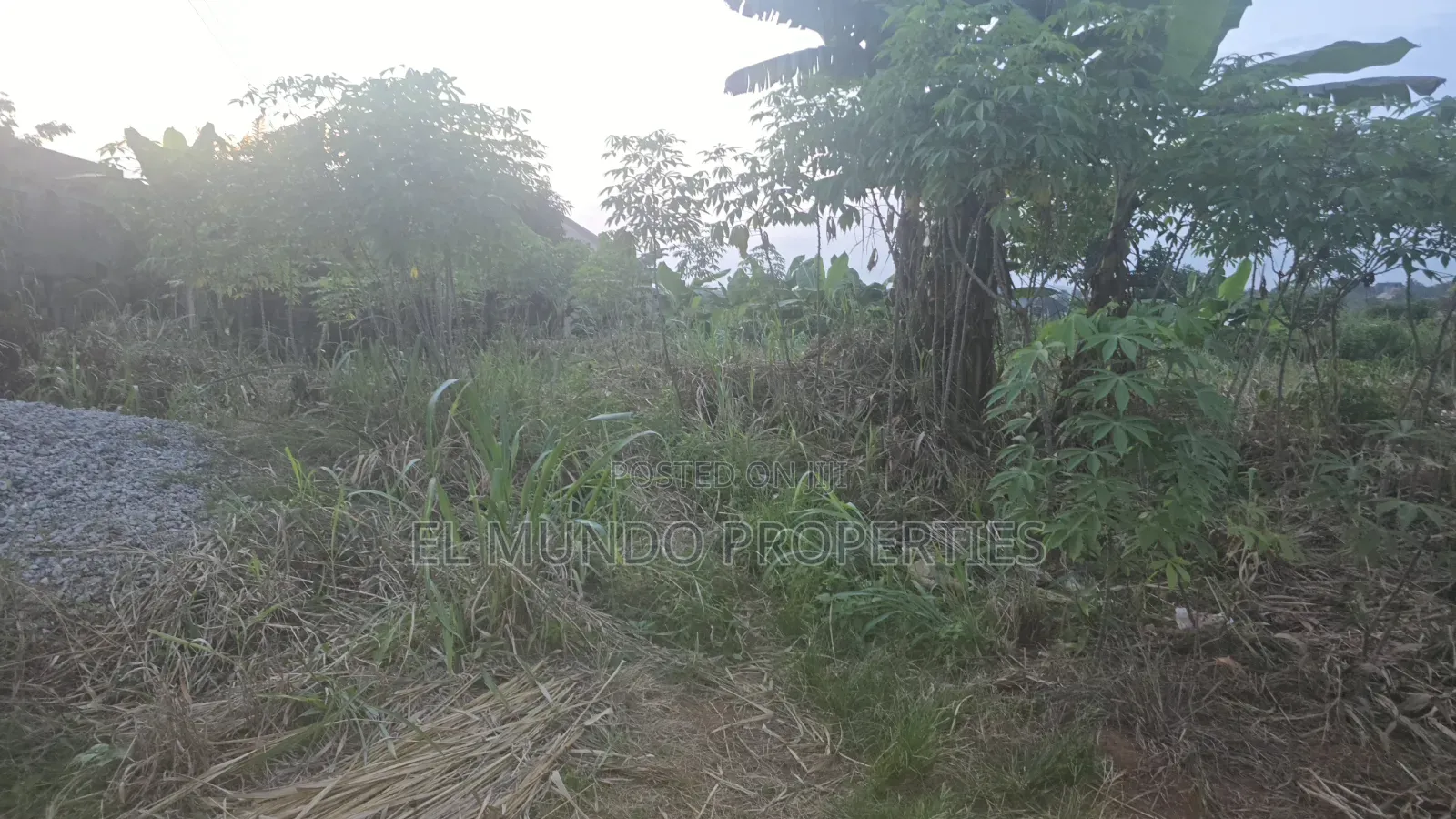 110*100 Land at Tanoso Dominase for Sale