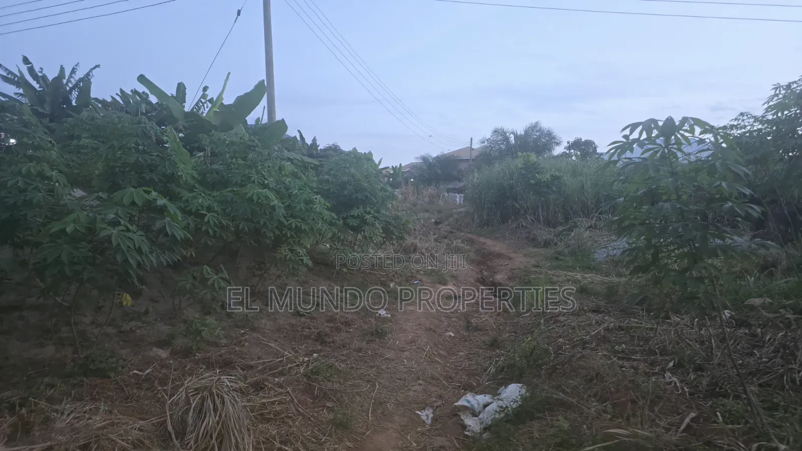 110*100 Land at Tanoso Dominase for Sale