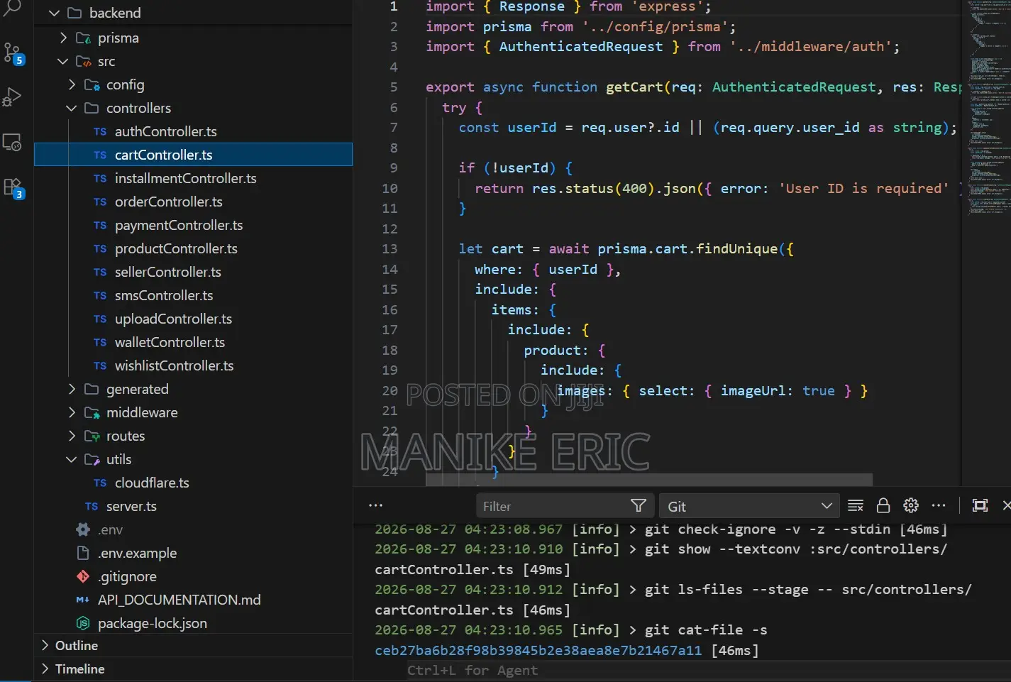 Website Development Service