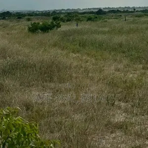 Scenic Lands [Legit Promo]- Prampram New Ningo