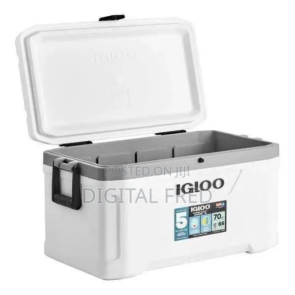 Igloo Ice Chest
