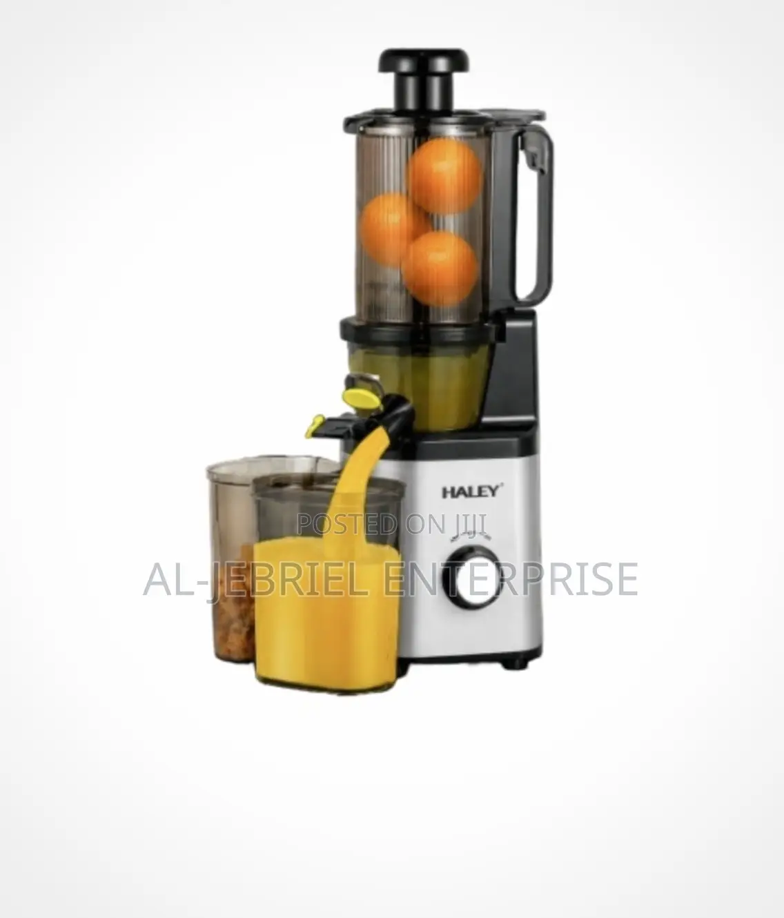 Haley Juicer -Silver