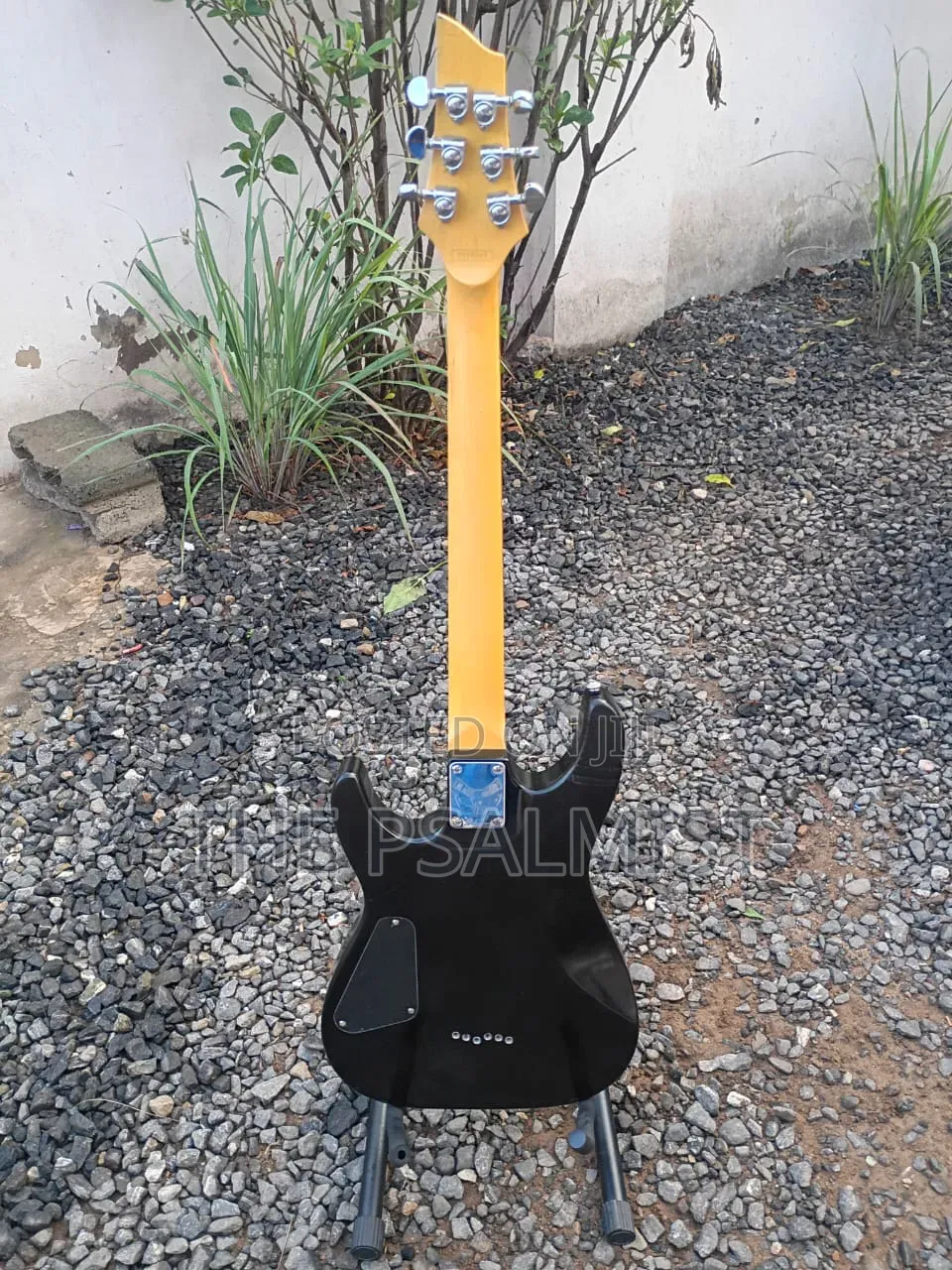 Black Hawk Bc- 1 Schecter Electric Guitar