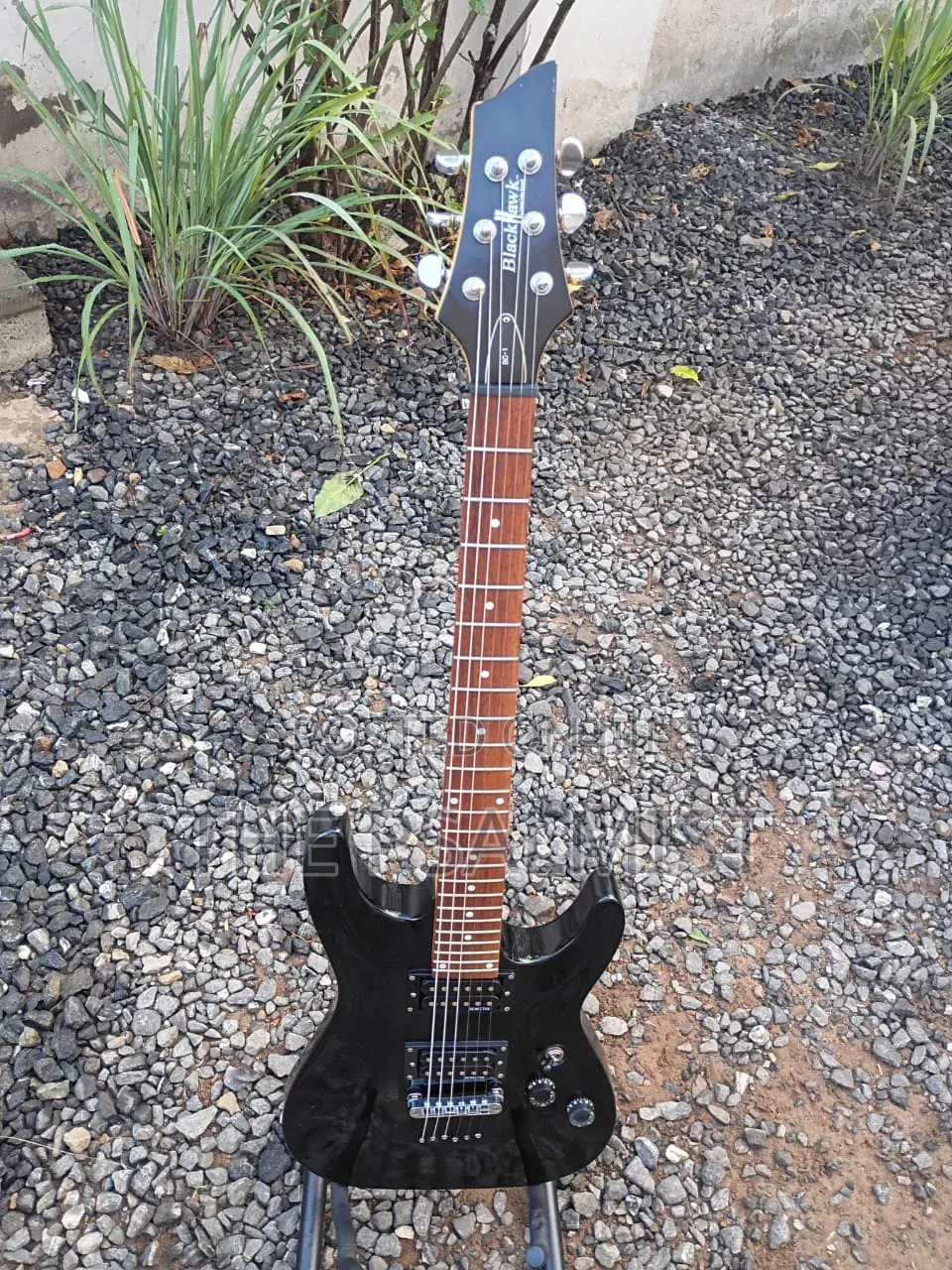 Black Hawk Bc- 1 Schecter Electric Guitar