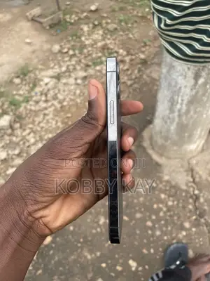 Apple iPhone 12 Pro 128 GB Gray